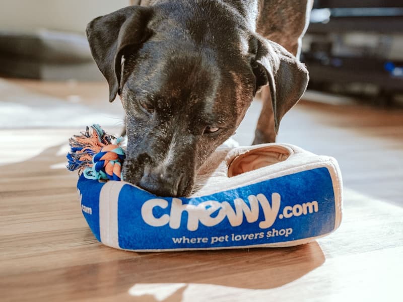 Wedding Fetch Station